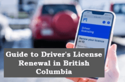 Guide to Driver's License Renewal in British Columbia
